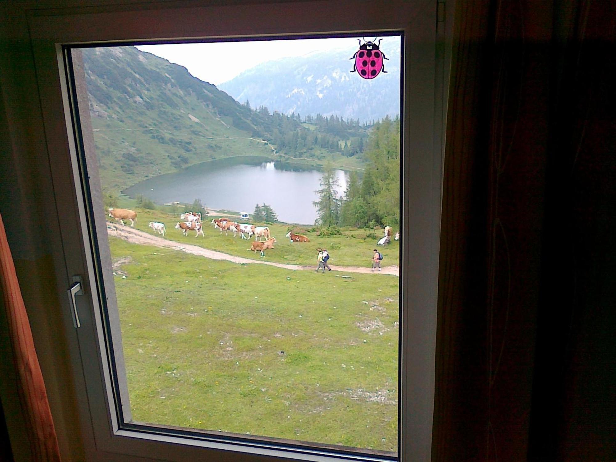 Hotel Berghof Tauplitzalm Exteriér fotografie