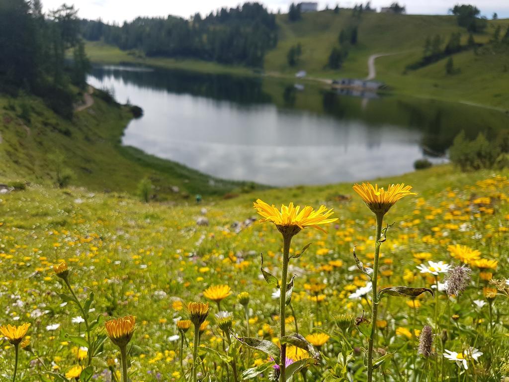 Hotel Berghof Tauplitzalm Exteriér fotografie